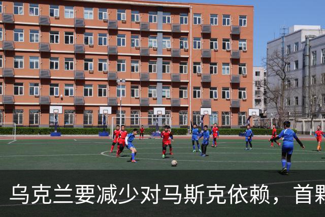 乌克兰要减少对马斯克依赖，首颗自主通信测试卫星开始运行